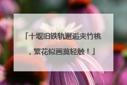 十堰旧铁轨邂逅夹竹桃，繁花似画莫轻触！