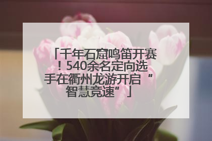 千年石窟鸣笛开赛！540余名定向选手在衢州龙游开启“智慧竞速”