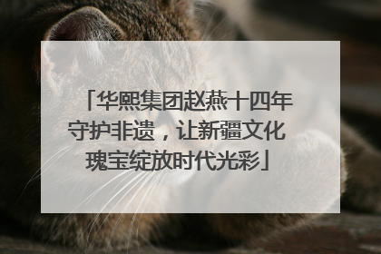 华熙集团赵燕十四年守护非遗，让新疆文化瑰宝绽放时代光彩