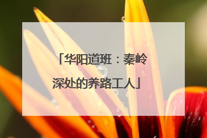 华阳道班：秦岭深处的养路工人