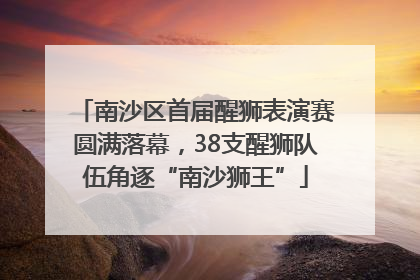 南沙区首届醒狮表演赛圆满落幕，38支醒狮队伍角逐“南沙狮王”