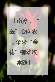 南漳：“医”心向农，朵朵“金花”铺就致富路