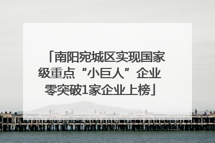 南阳宛城区实现国家级重点“小巨人”企业零突破1家企业上榜