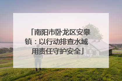 南阳市卧龙区安皋镇：以行动排查水域 用责任守护安全