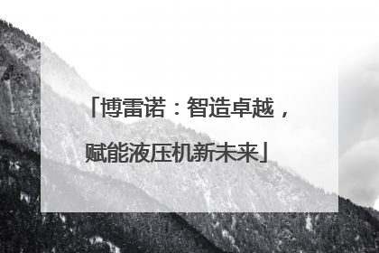 博雷诺：智造卓越，赋能液压机新未来