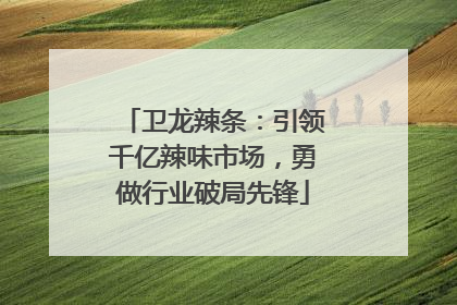 卫龙辣条：引领千亿辣味市场，勇做行业破局先锋