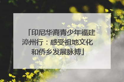 印尼华裔青少年福建漳州行：感受祖地文化和侨乡发展脉搏