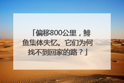 偏移800公里，鲱鱼集体失忆。它们为何找不到回家的路？