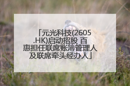 元光科技(2605.HK)启动招股 百惠担任联席账簿管理人及联席牵头经办人