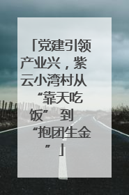 党建引领产业兴，紫云小湾村从 “靠天吃饭” 到 “抱团生金”