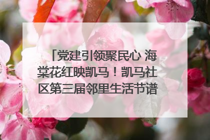党建引领聚民心 海棠花红映凯马！凯马社区第三届邻里生活节谱写幸福新篇章