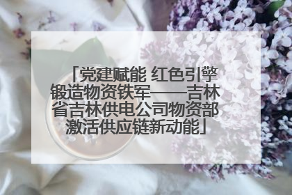 党建赋能 红色引擎锻造物资铁军——吉林省吉林供电公司物资部激活供应链新动能