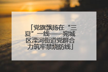 党旗飘扬在“三夏”一线——宛城区溧河街道党群合力筑牢禁烧防线