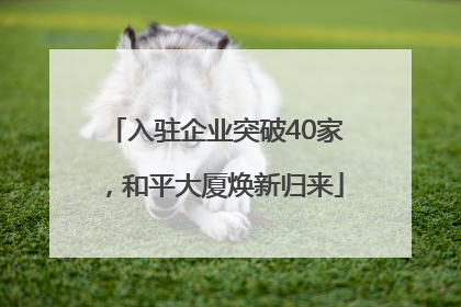 入驻企业突破40家，和平大厦焕新归来