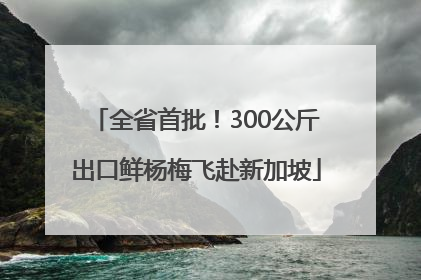 全省首批！300公斤出口鲜杨梅飞赴新加坡