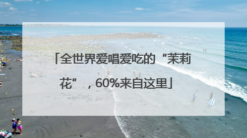 全世界爱唱爱吃的“茉莉花”，60%来自这里