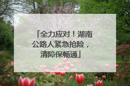 全力应对！湖南公路人紧急抢险，清障保畅通