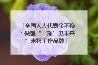 全国人大代表金不换：做强“‘豫’见未来”未检工作品牌
