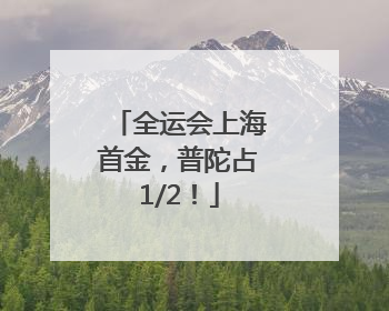 全运会上海首金，普陀占1/2！
