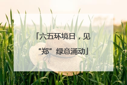 六五环境日，见“郑”绿意涌动