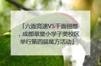 六面竞速VS千面创想，成都草堂小学子美校区举行第四届魔方活动