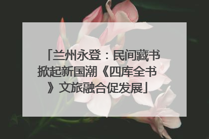 兰州永登：民间藏书掀起新国潮《四库全书》文旅融合促发展
