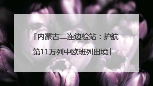 内蒙古二连边检站：护航第11万列中欧班列出境