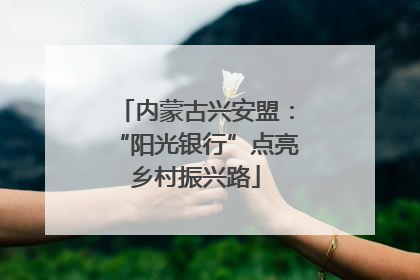 内蒙古兴安盟：“阳光银行”点亮乡村振兴路