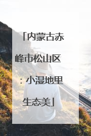 内蒙古赤峰市松山区：小湿地里生态美