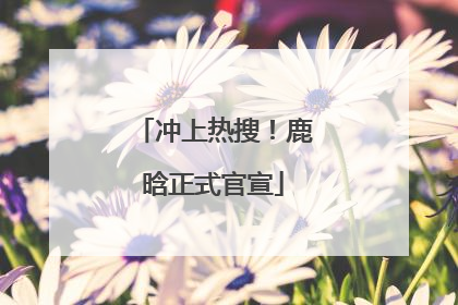 冲上热搜！鹿晗正式官宣