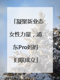 凝聚新业态女性力量，浦东Pro妈妈妇联成立