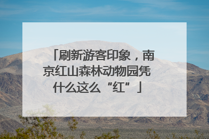 刷新游客印象，南京红山森林动物园凭什么这么“红”