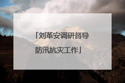刘革安调研督导防汛抗灾工作