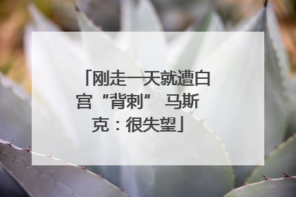 刚走一天就遭白宫“背刺” 马斯克：很失望