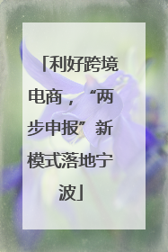 利好跨境电商，“两步申报”新模式落地宁波