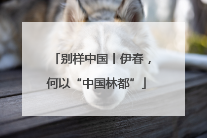 别样中国丨伊春，何以“中国林都”