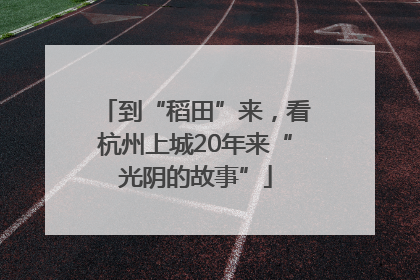 到“稻田”来，看杭州上城20年来“光阴的故事”