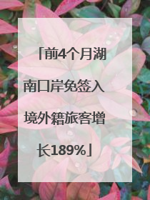 前4个月湖南口岸免签入境外籍旅客增长189%