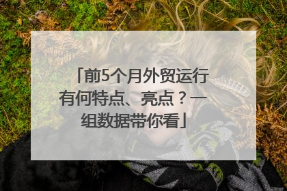 前5个月外贸运行有何特点、亮点？一组数据带你看