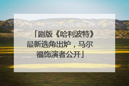 剧版《哈利波特》最新选角出炉，马尔福饰演者公开