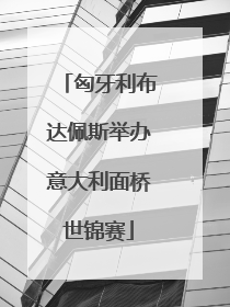 匈牙利布达佩斯举办意大利面桥世锦赛