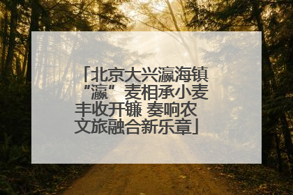 北京大兴瀛海镇“瀛”麦相承小麦丰收开镰 奏响农文旅融合新乐章