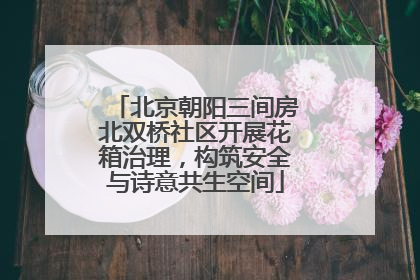 北京朝阳三间房北双桥社区开展花箱治理，构筑安全与诗意共生空间