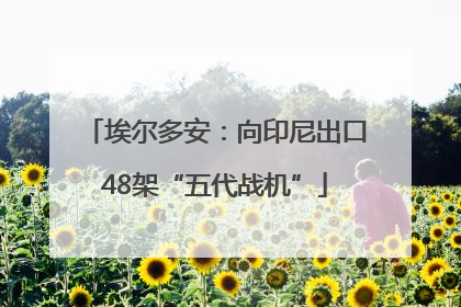 埃尔多安：向印尼出口48架“五代战机”