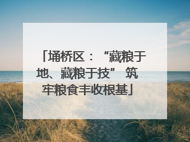 埇桥区：“藏粮于地、藏粮于技” 筑牢粮食丰收根基