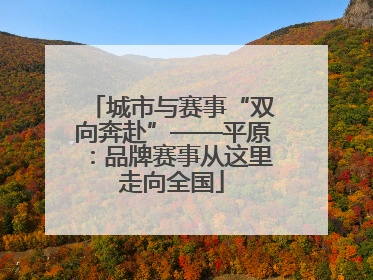 城市与赛事“双向奔赴”——平原：品牌赛事从这里走向全国