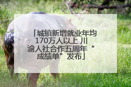 城镇新增就业年均170万人以上 川渝人社合作五周年“成绩单”发布