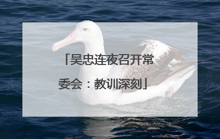 吴忠连夜召开常委会：教训深刻