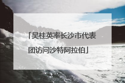 吴桂英率长沙市代表团访问沙特阿拉伯