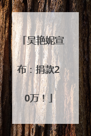 吴艳妮宣布：捐款20万！
